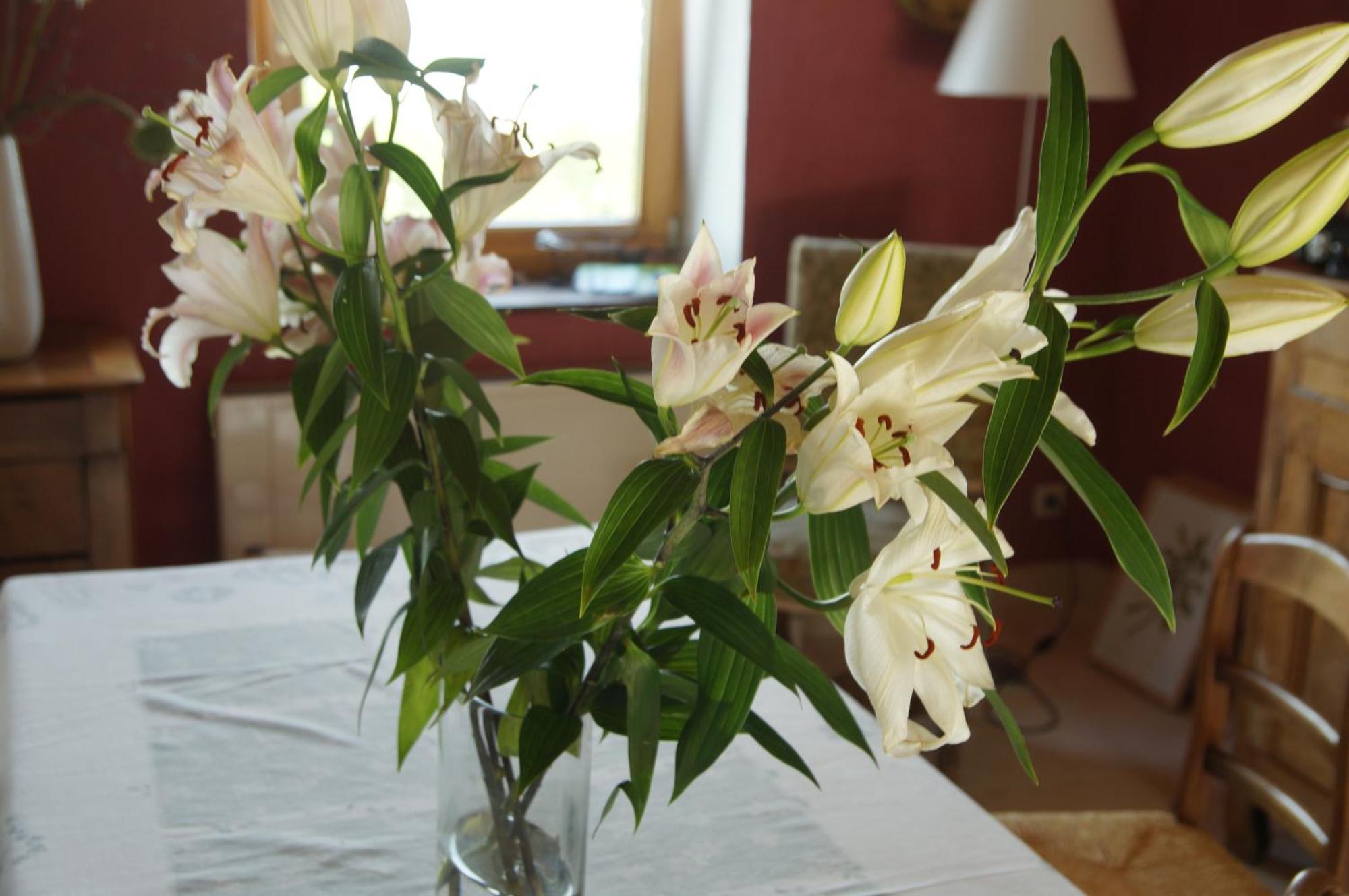 Le Grand Noe Bed & Breakfast Roisey Cameră foto