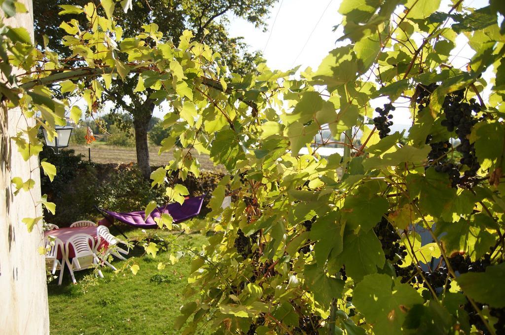 Le Grand Noe Bed & Breakfast Roisey Exterior foto